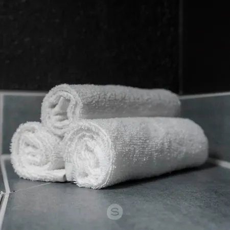 Suite Apartments Nürnberg *